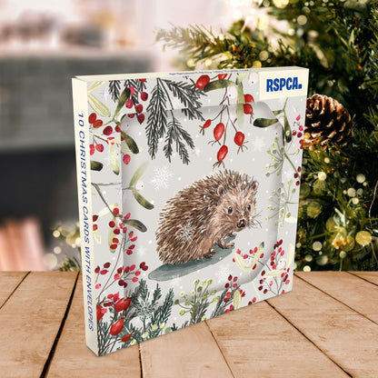 RSPCA Christmas Cards Christmas Hedgehog