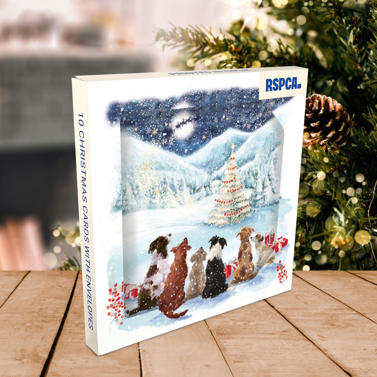 RSPCA Christmas Cards Waiting for Santa