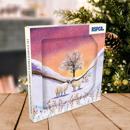 RSPCA Christmas Cards Northern Lights