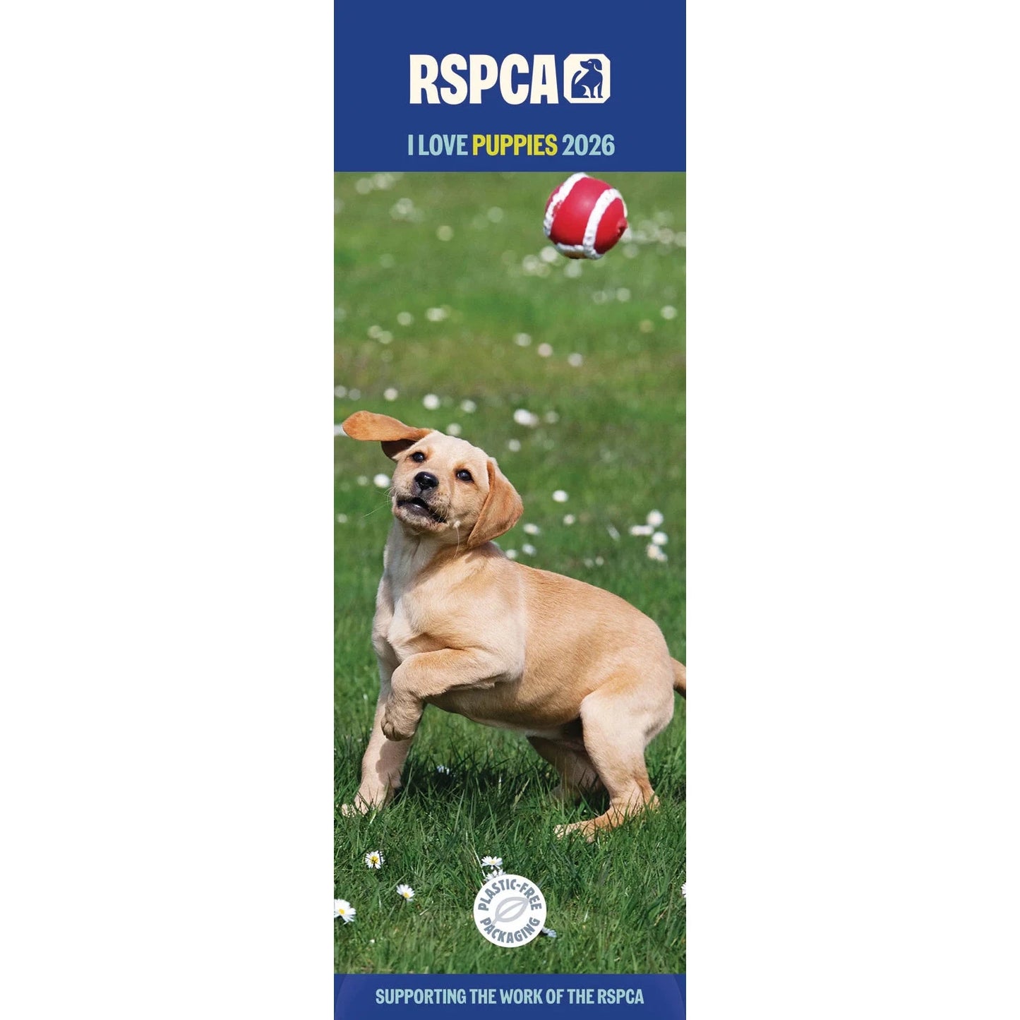 RSPCA I love Puppies Slim 12 Month Calendar 2026