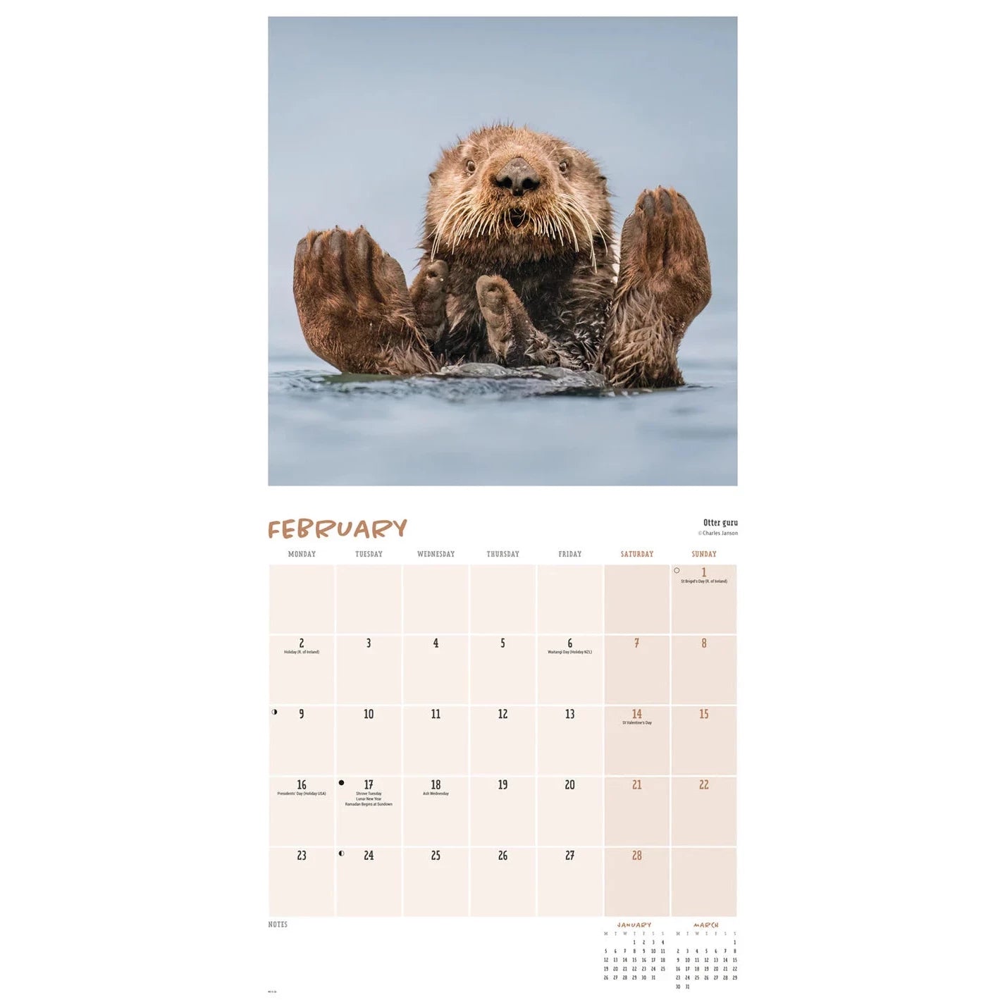 Wildlife Photography Comedy Awards Square Wall Calendar 2026
