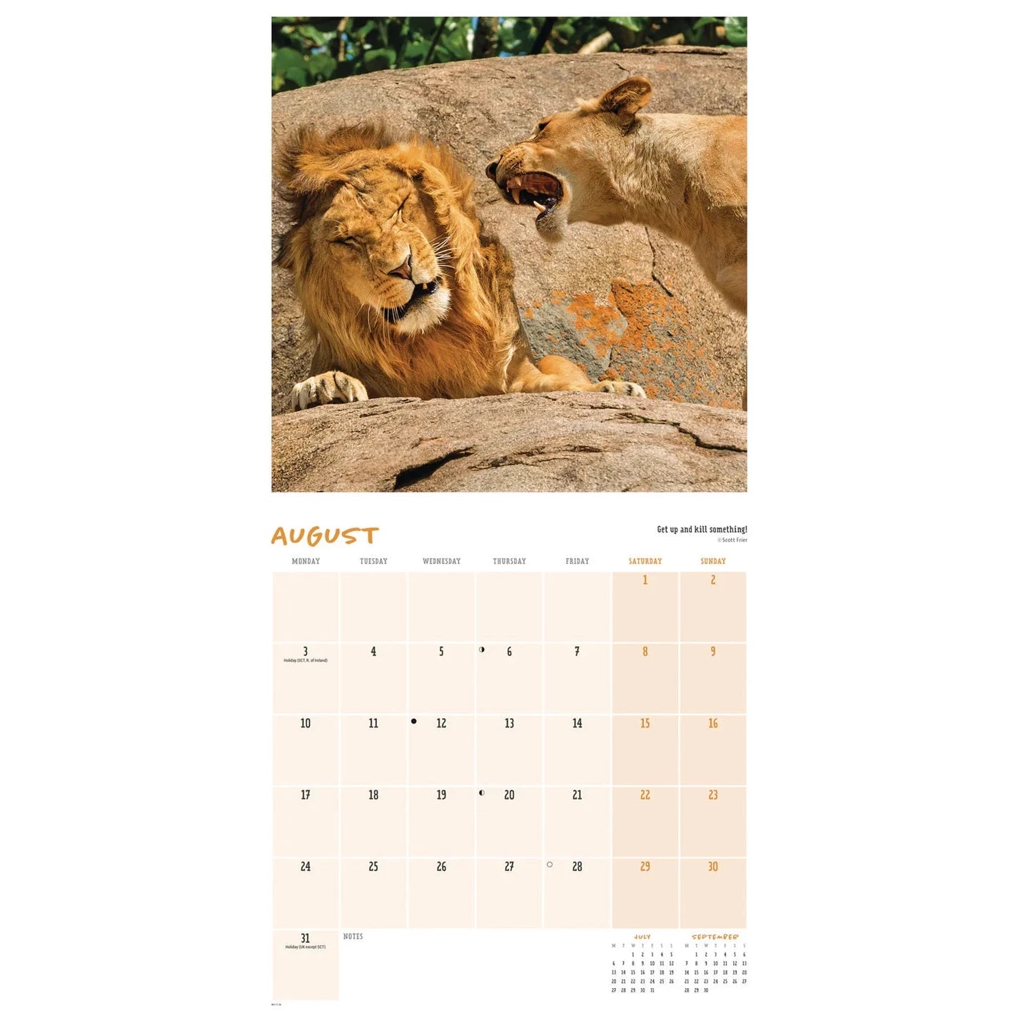 Wildlife Photography Comedy Awards Square Wall Calendar 2026