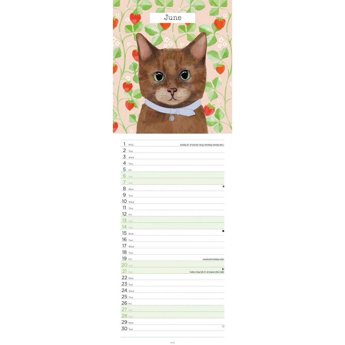 Cats Slim Calendar 2026