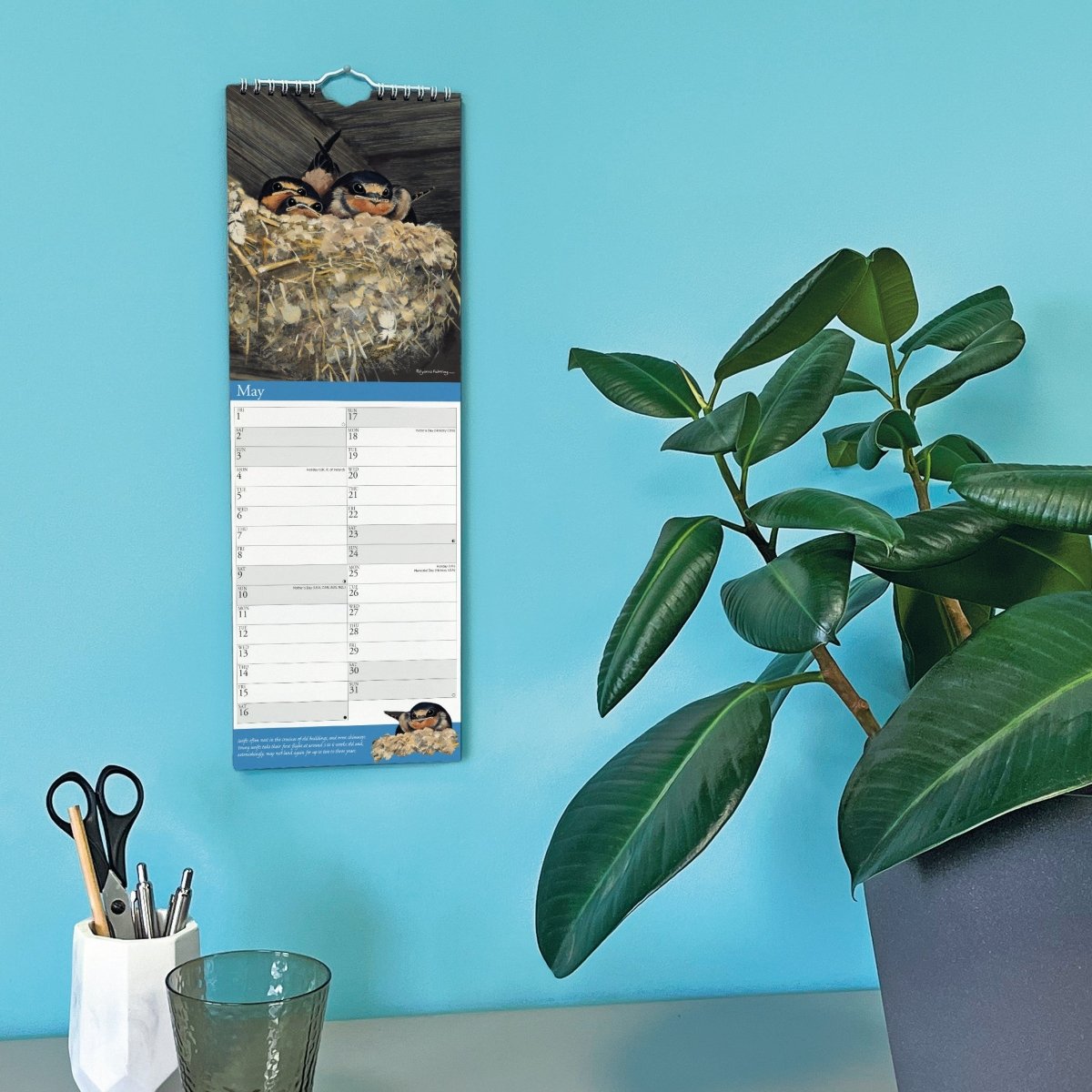 Garden Birds by Pollyanna Pickering Slim Calendar 2026