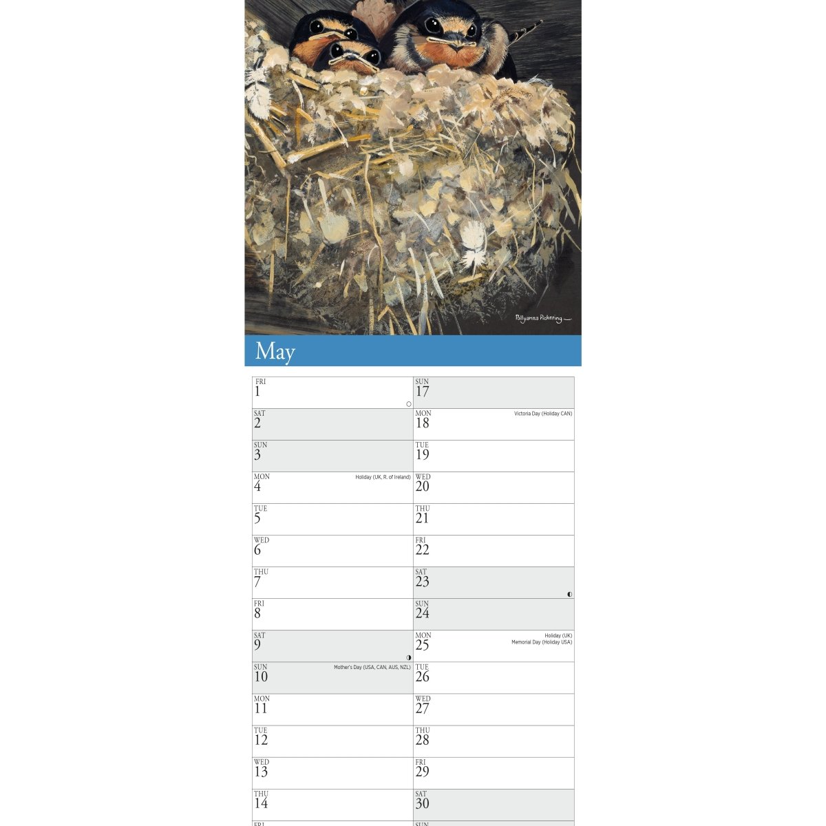 Garden Birds by Pollyanna Pickering Slim Calendar 2026