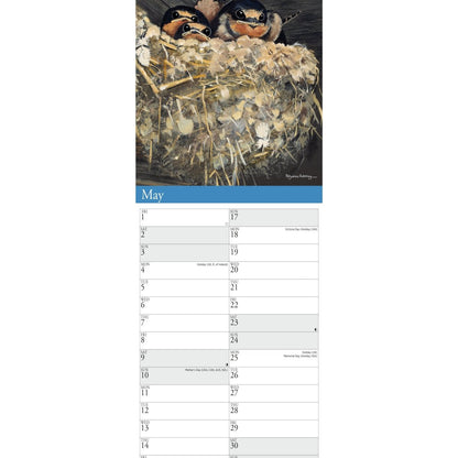 Garden Birds by Pollyanna Pickering Slim Calendar 2026