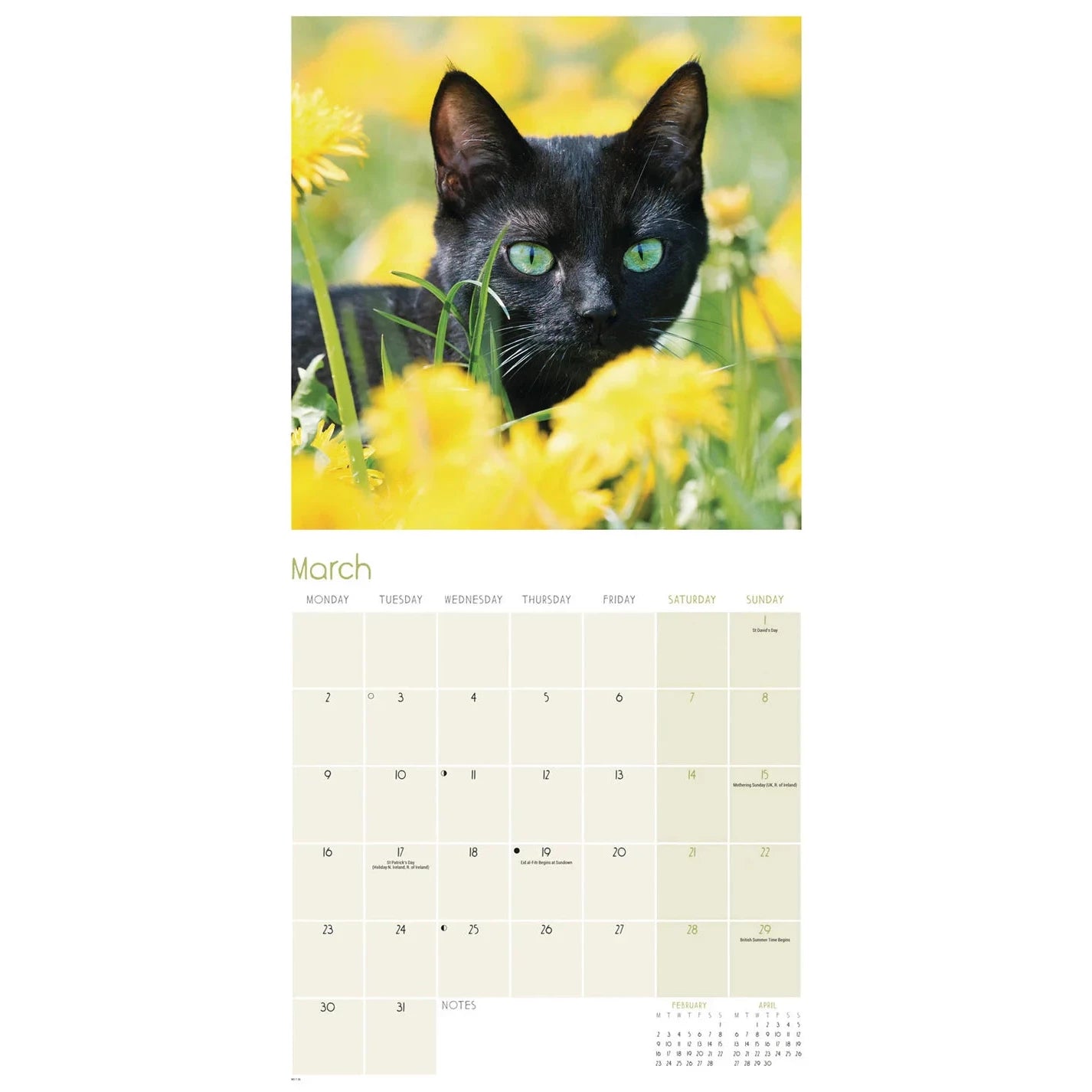 Black Cats Square Wall Calendar 2026