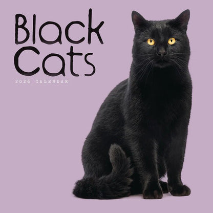 Black Cats Square Wall Calendar 2026
