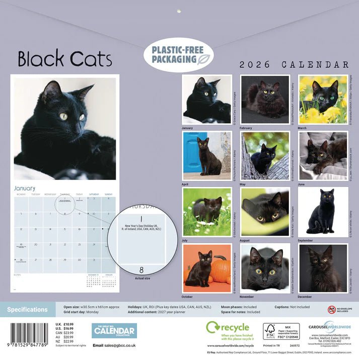 Black Cats Square Wall Calendar 2026