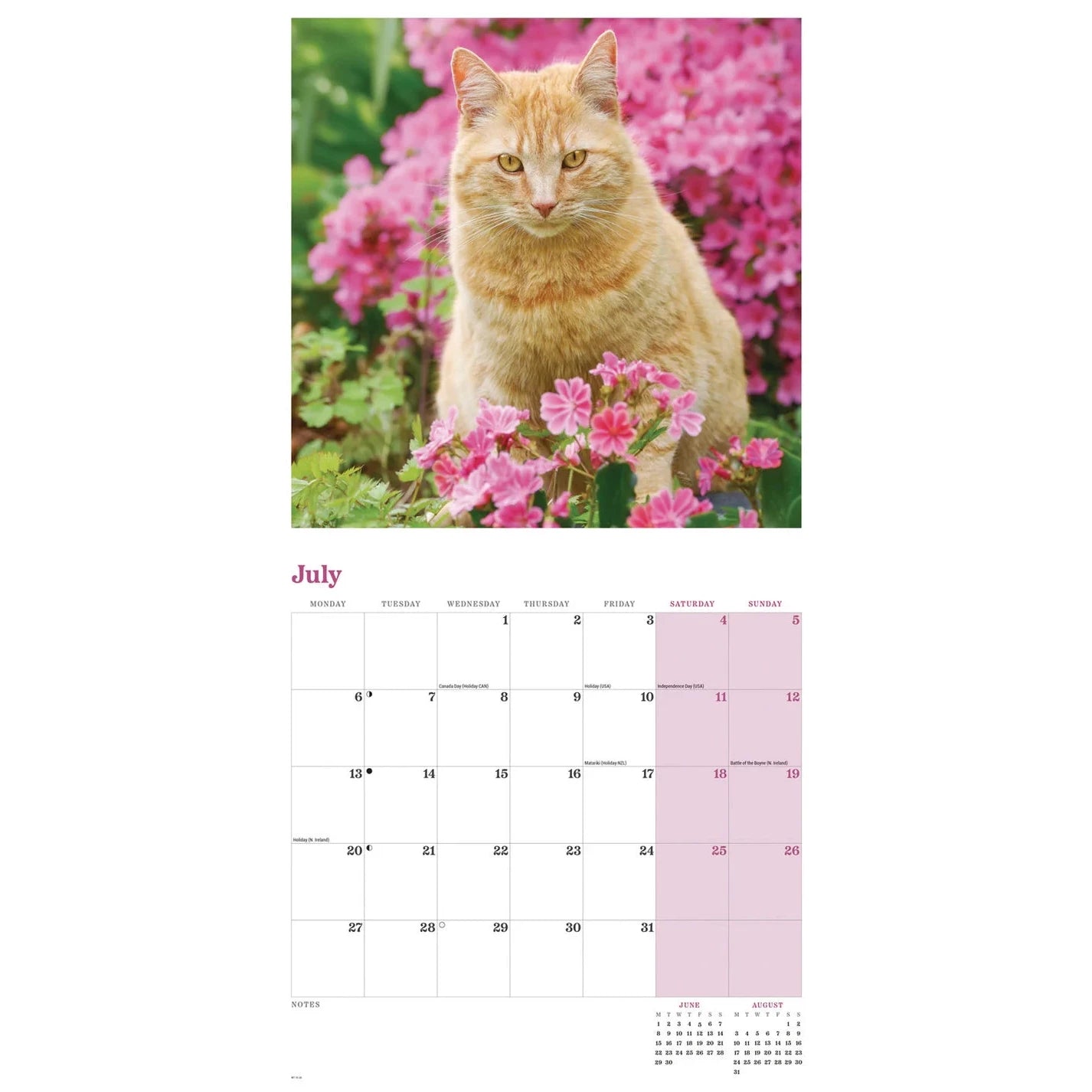 Ginger Cats Square Wall Calendar 2026
