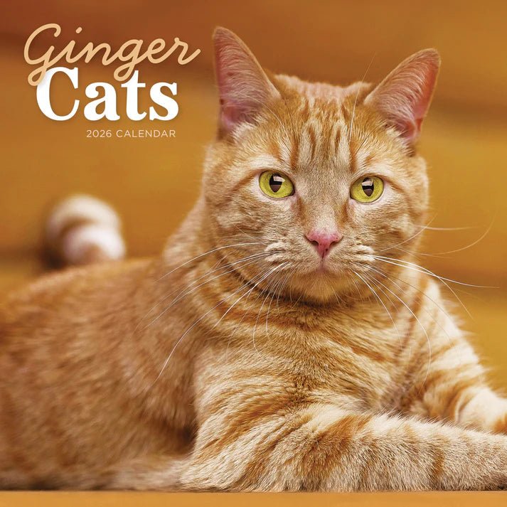 Ginger Cats Square Wall Calendar 2026