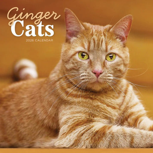 Ginger Cats Square Wall Calendar 2026