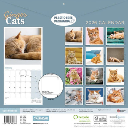 Ginger Cats Square Wall Calendar 2026