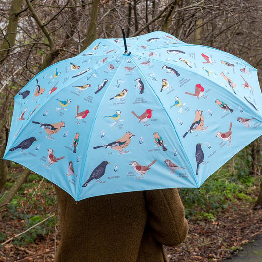 The Garden Birds Umbrella, sky blue with prints of different species of garden birds.