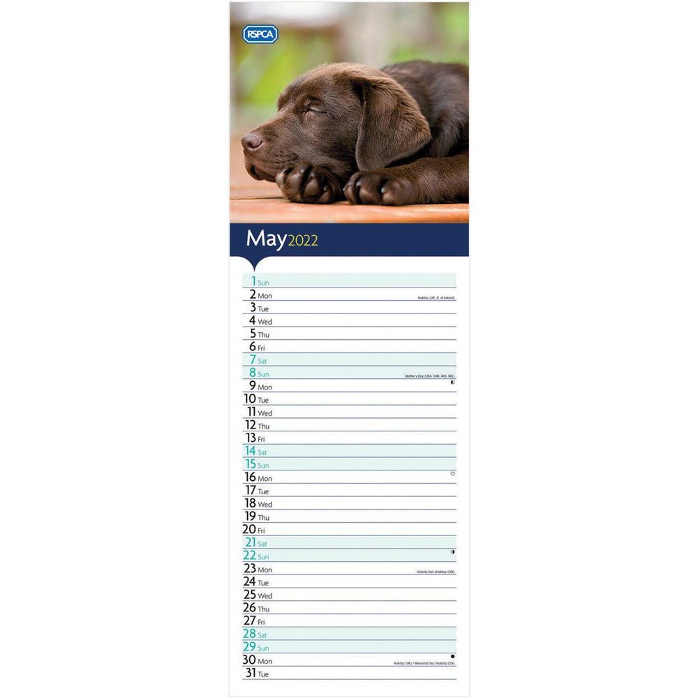 RSPCA I love Puppies Slim 12 Month Calendar 2026