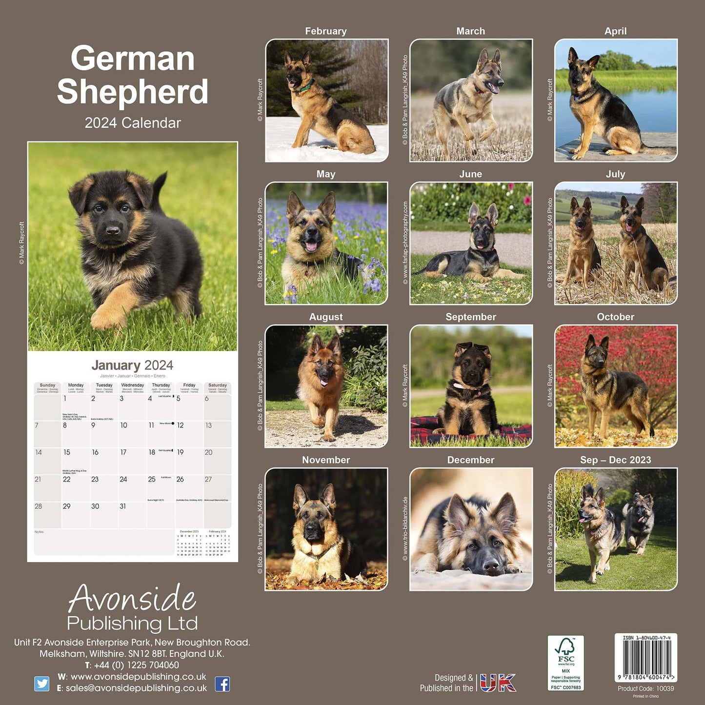 German Shepherd Square Wall Calendar 2024