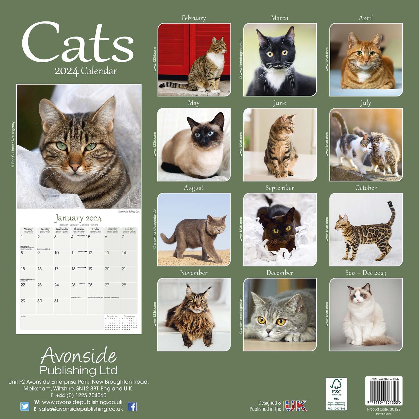 Cats Wall Square Wall Calendar 2024 – RSPCA Shop