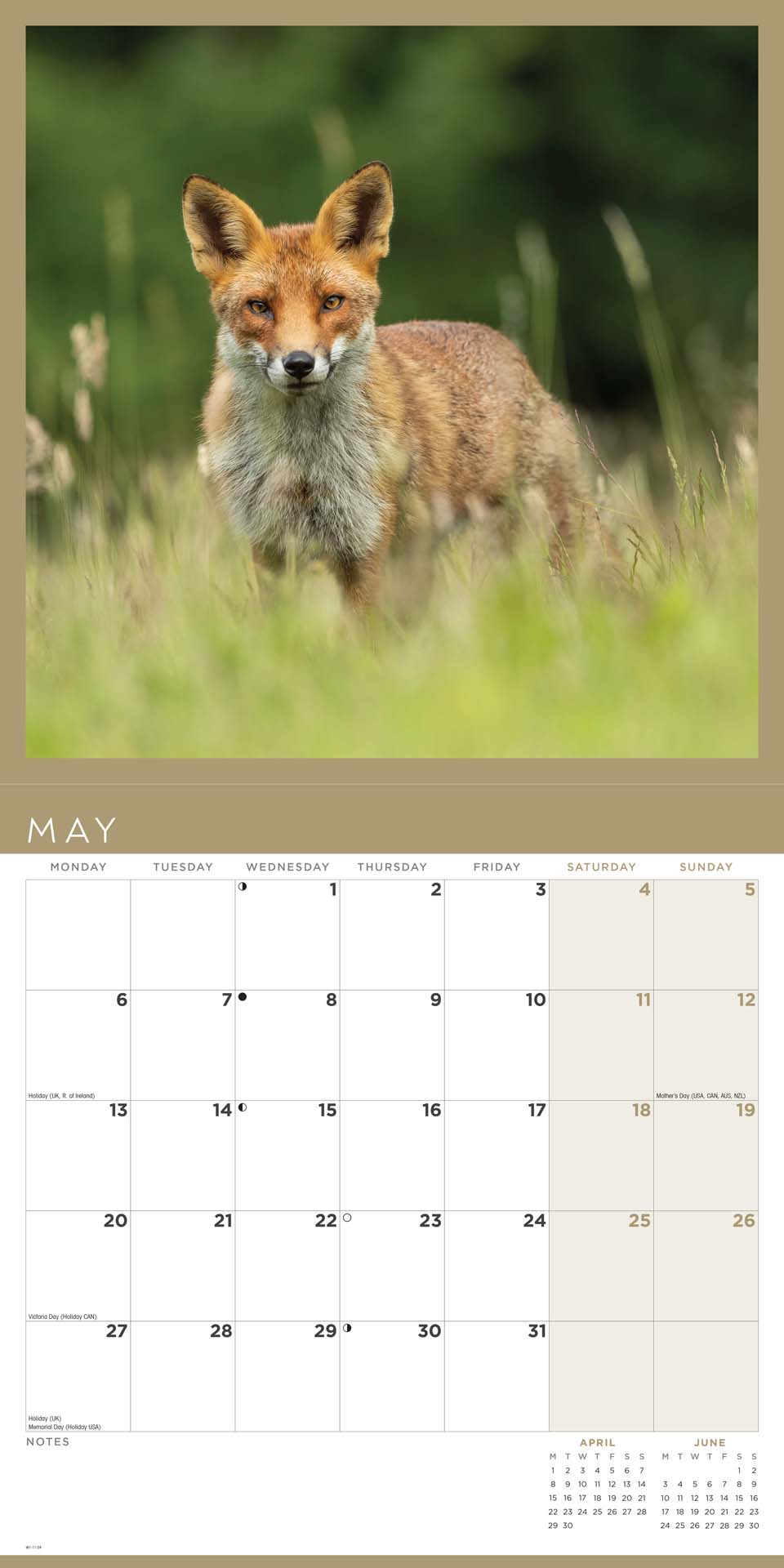 Foxes Square Wall Calendar 2024