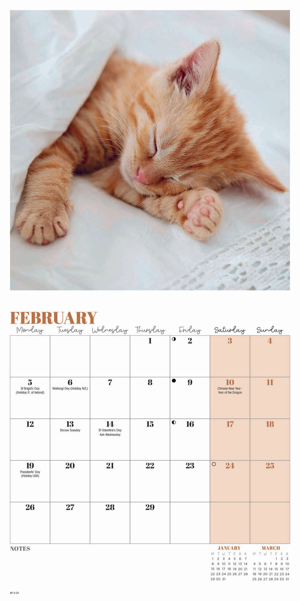 Cat Naps Mini Calendar 2024