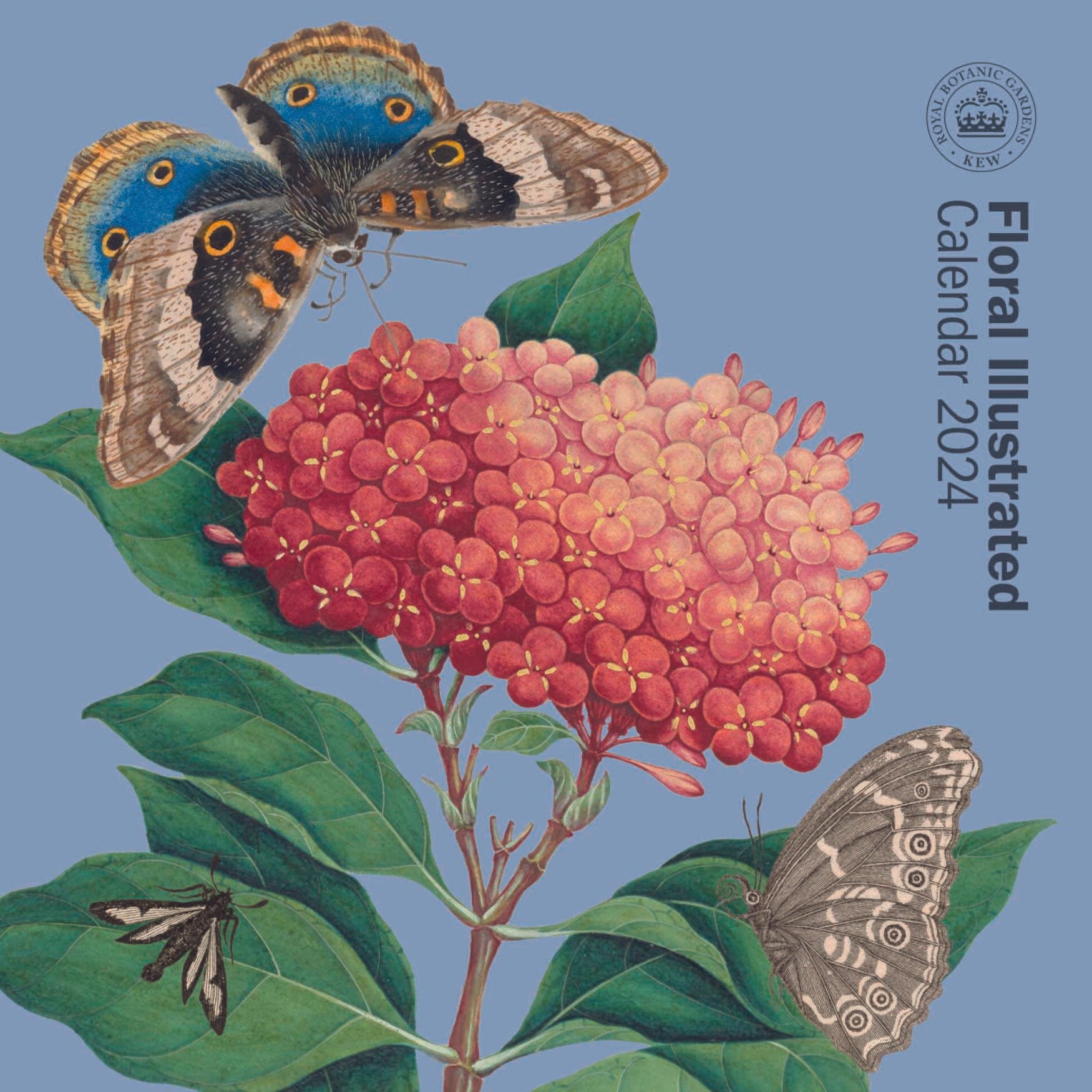 RSPCA Shop Gifts you'll love