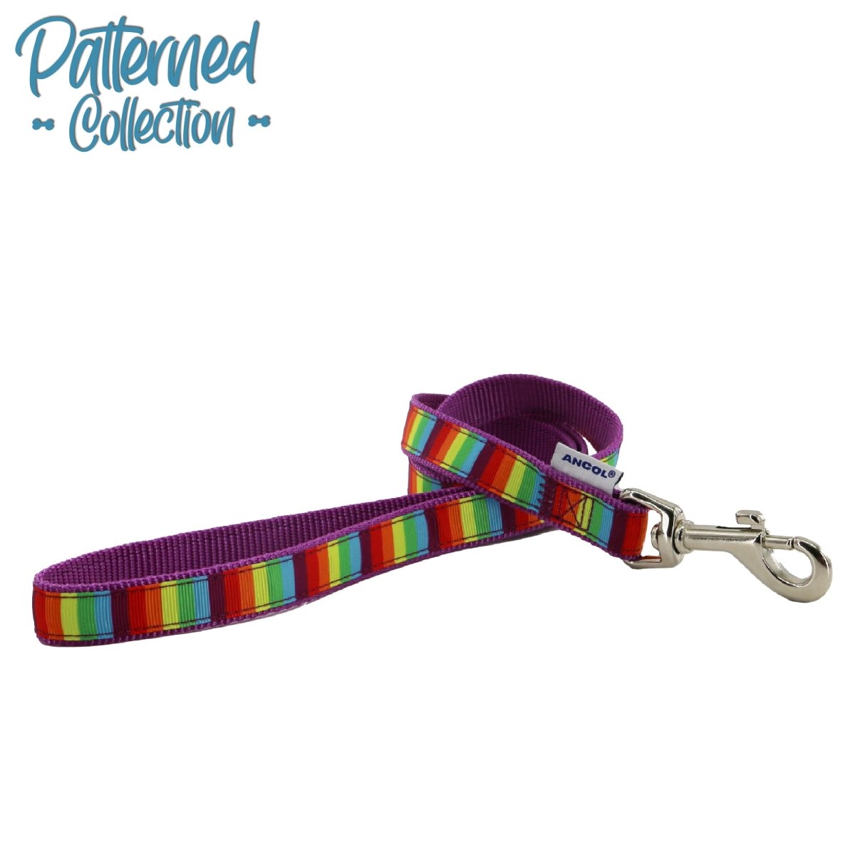 Nylon Rainbow Dog Lead - 1m x 19mm