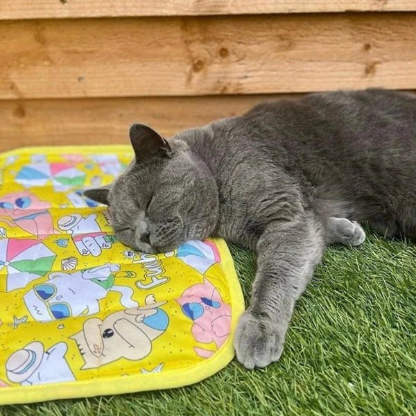 Mymeow Funshine Cooling Cat Mat, 48cm X 60cm