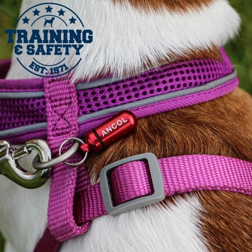 Aluminium ID Tube For Dog Collars