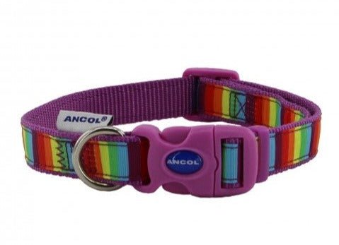 Ancol Nylon Rainbow Stripe Dog Collar