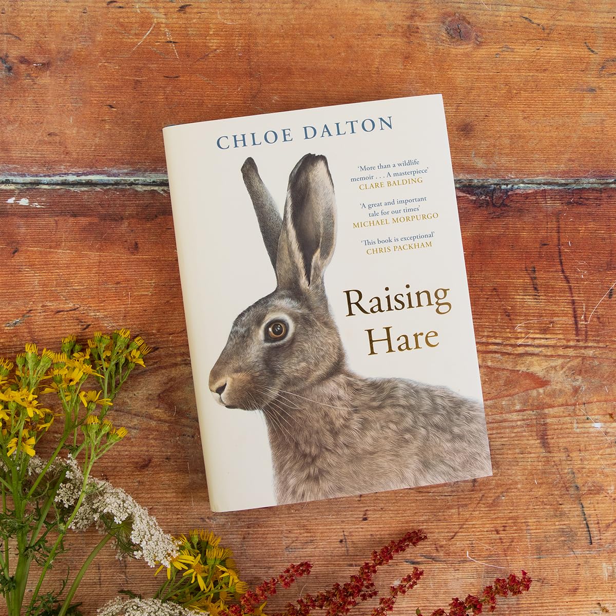 Chloe Dalton: Raising Hare