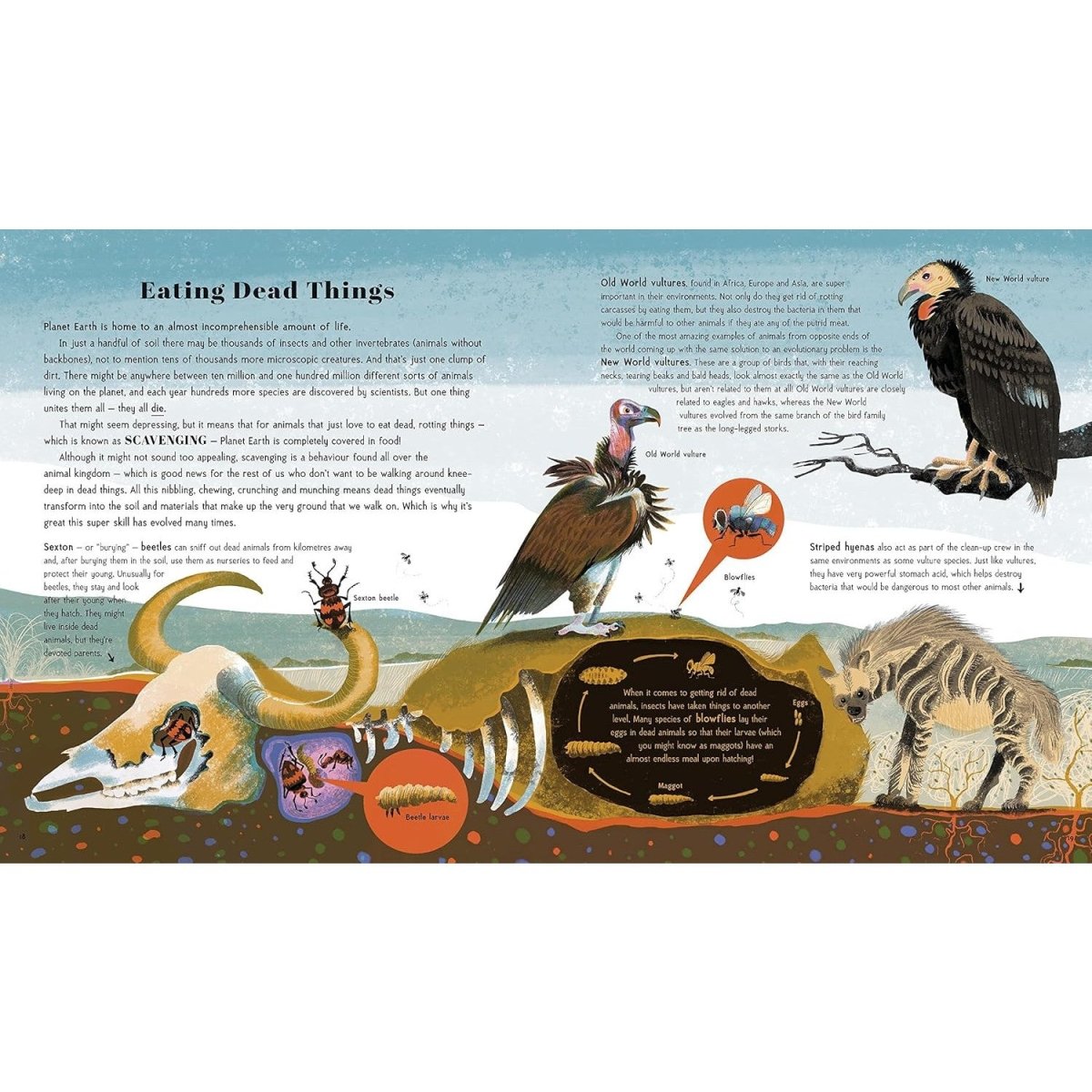 Awesome Animal Evolution