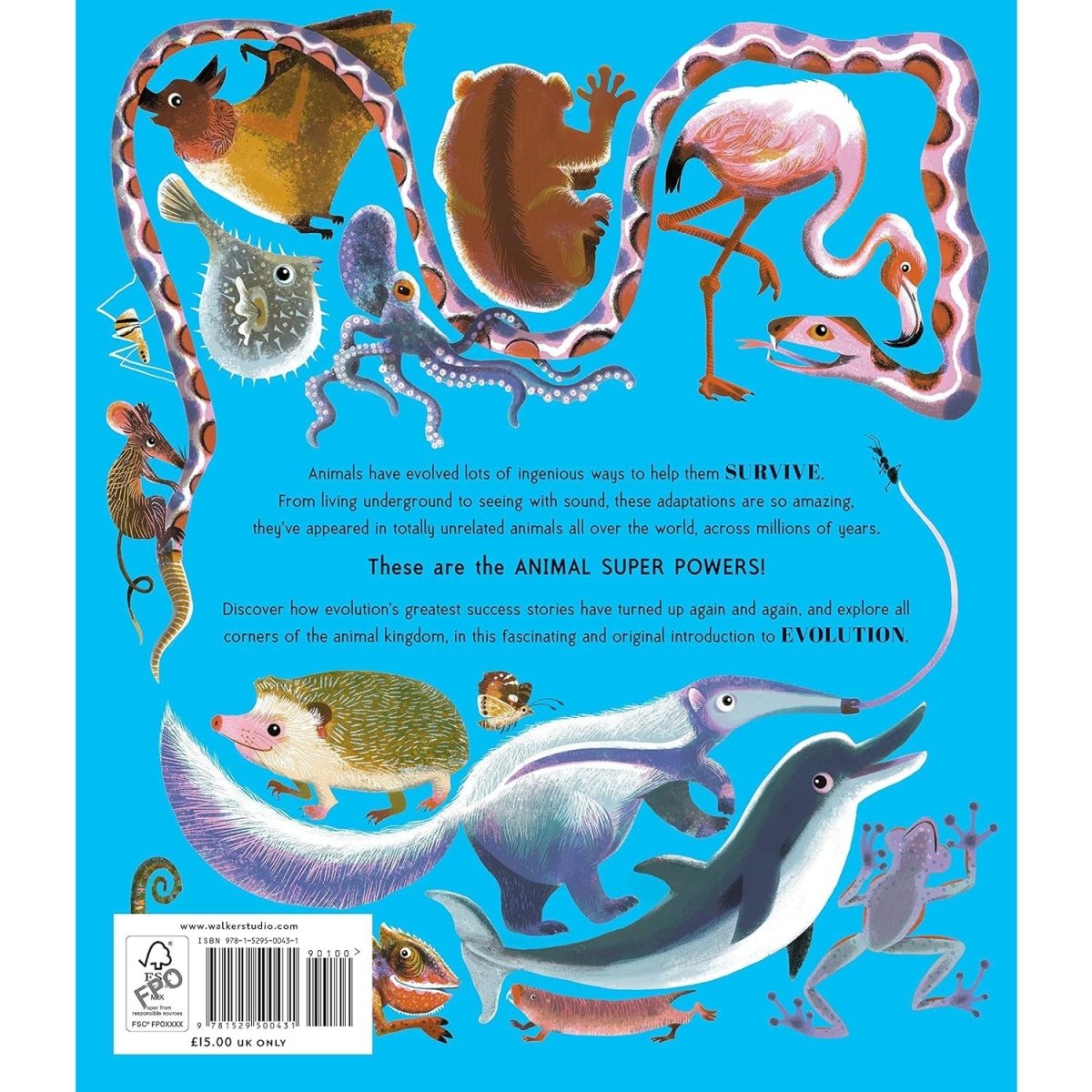 Awesome Animal Evolution