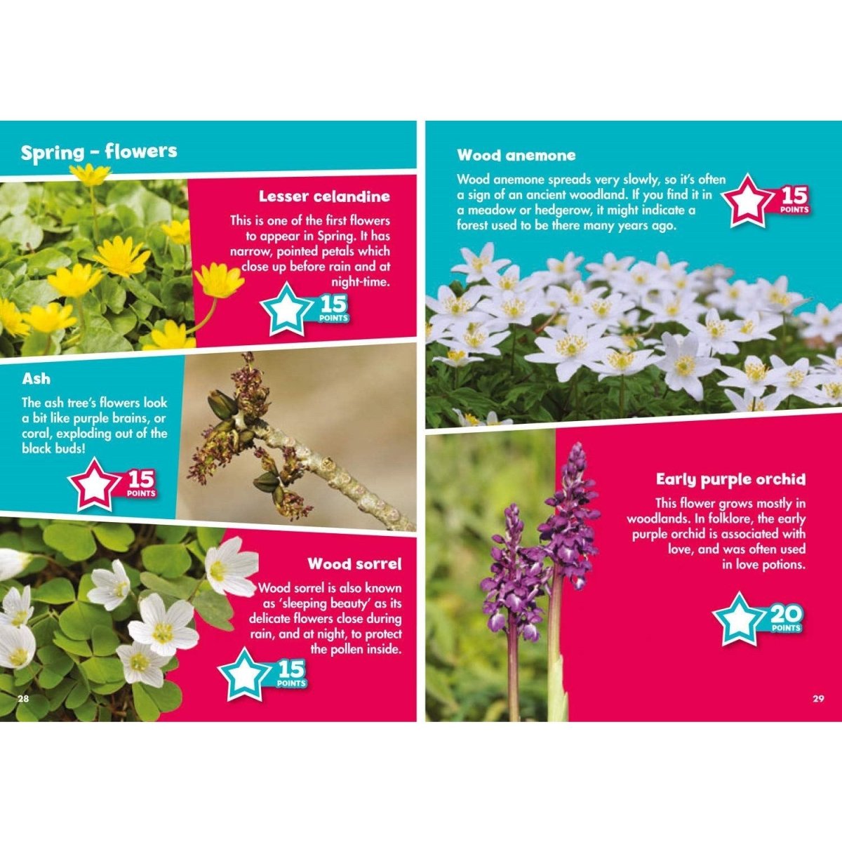 I Spy in the Countryside