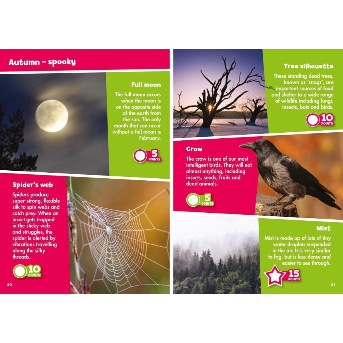 I Spy in the Countryside