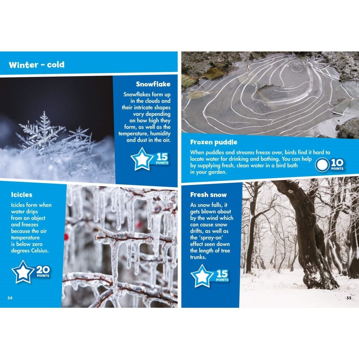 I Spy in the Countryside