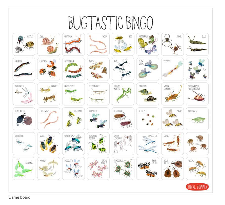 Bugtastic Bingo: A Game For All Ages