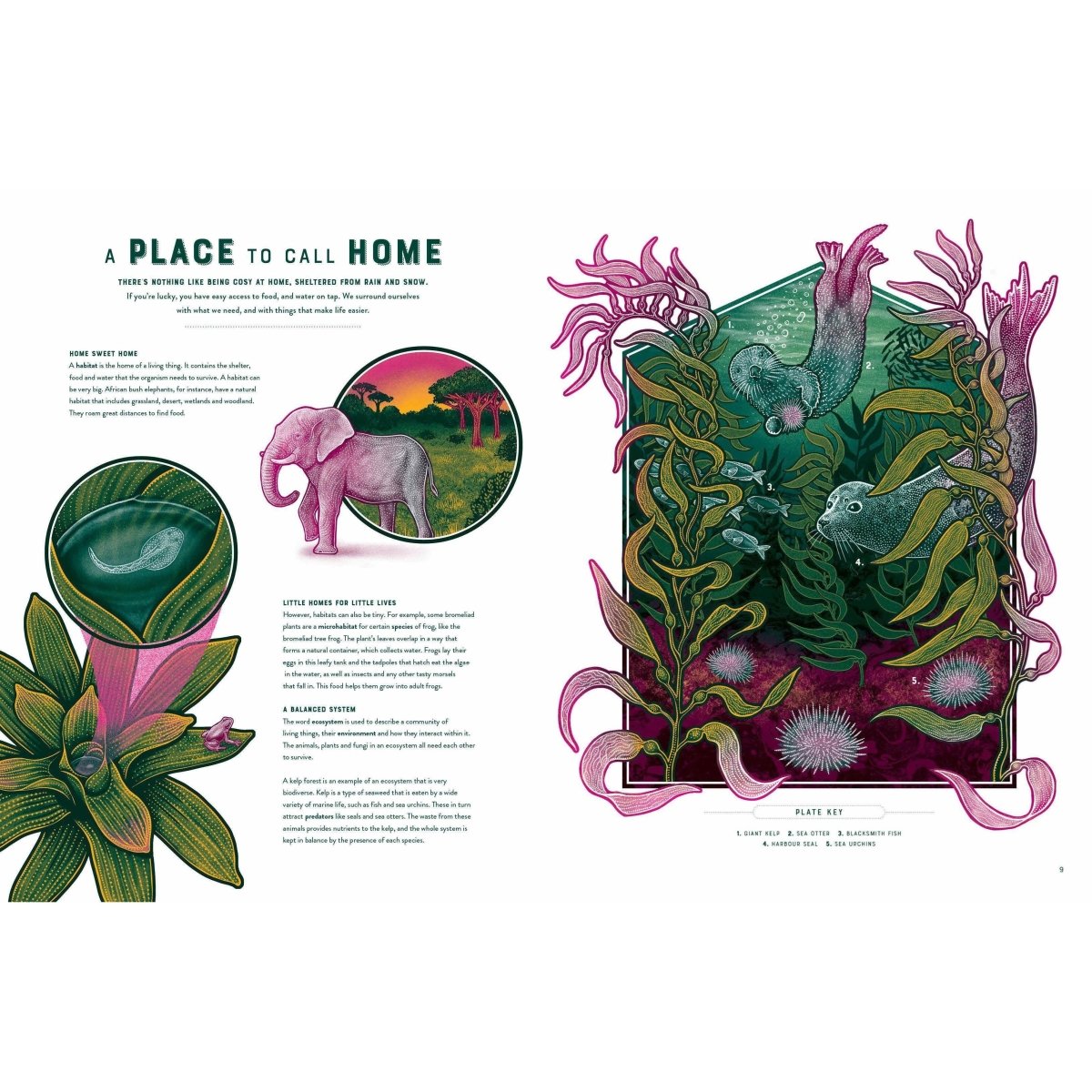 Life: The Wonders of Biodiversity