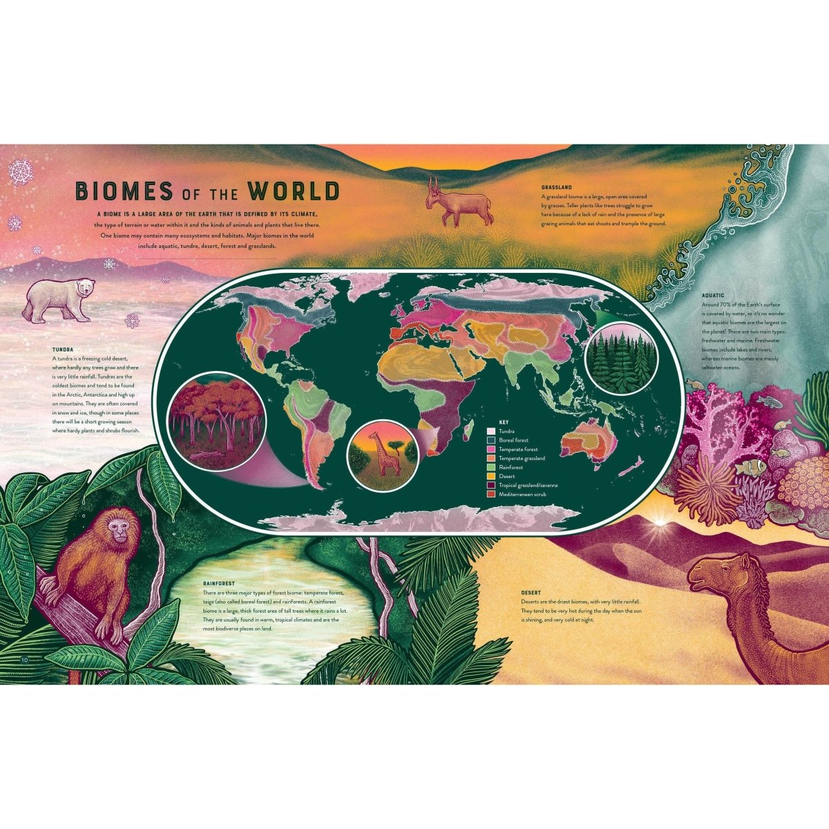 Life: The Wonders of Biodiversity