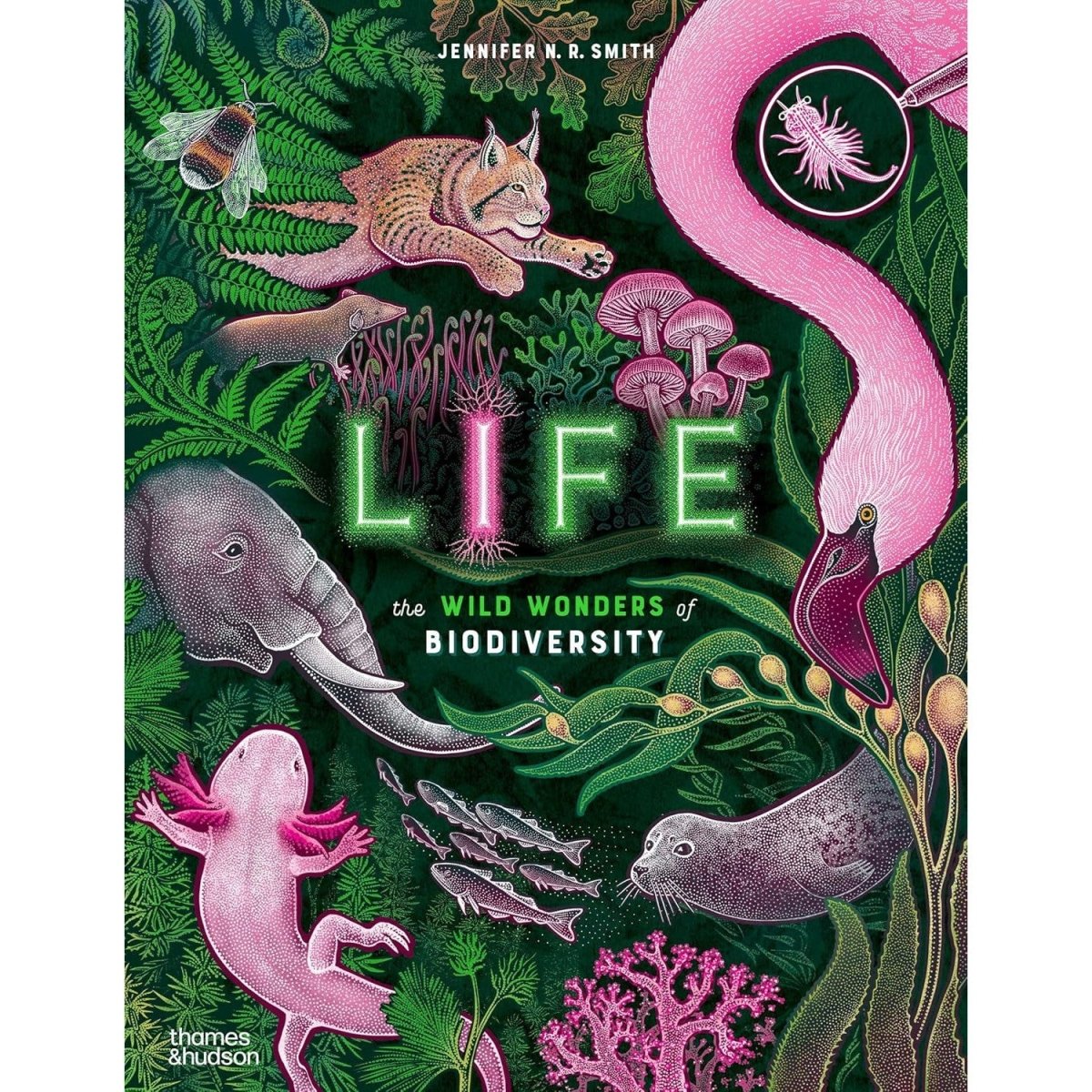 Life: The Wonders of Biodiversity