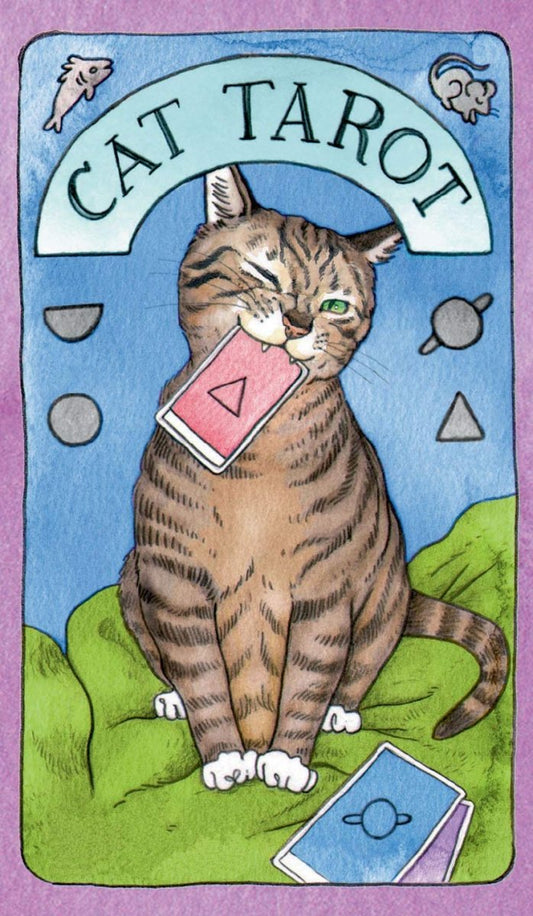 Cat Tarot Cards