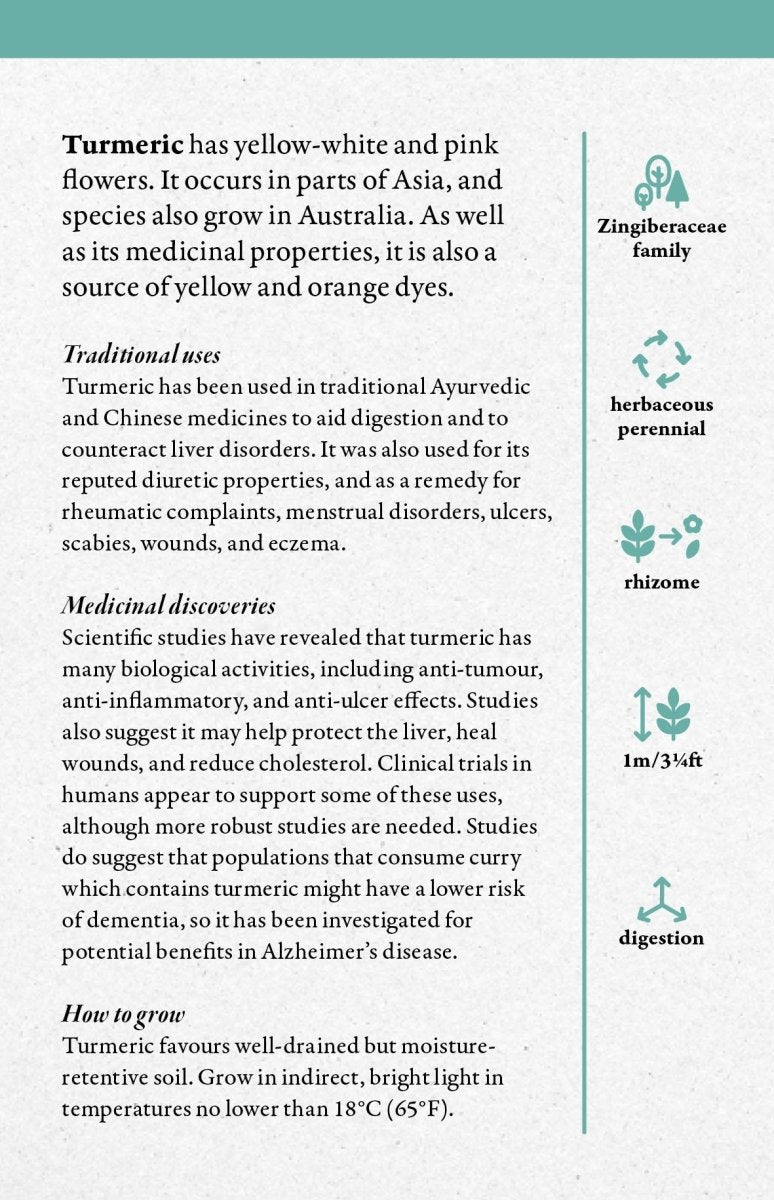 Cabinet Full Of Medicinal Plants Card Deck