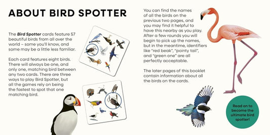 Bird Spotter: A Spotting Game