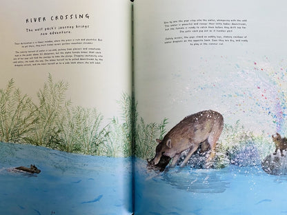 Fourteen Wolves: A Rewilding Story