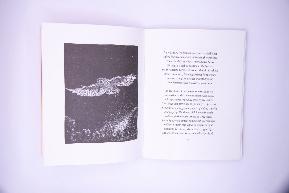 The Book Of The Barn Owl