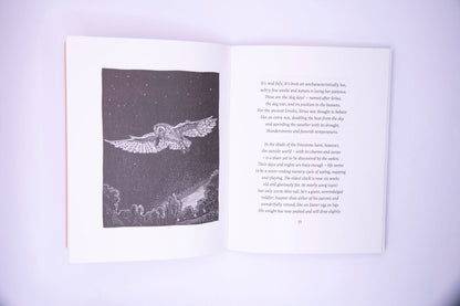The Book Of The Barn Owl