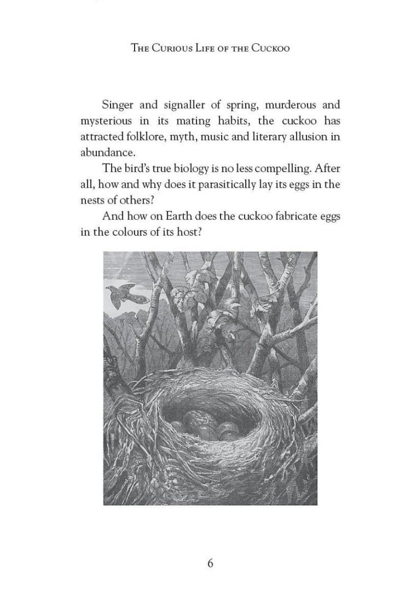 The Curious Life of the Cuckoo