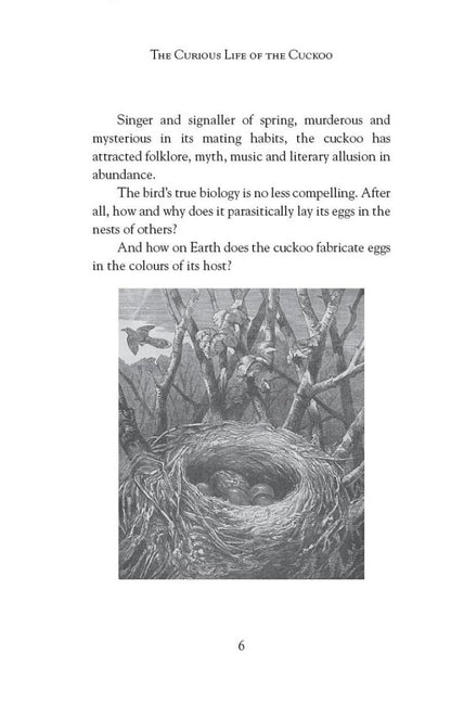 The Curious Life of the Cuckoo