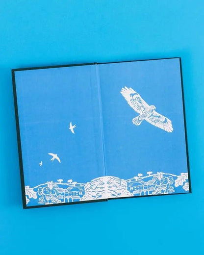 Spring: The Story of a Season