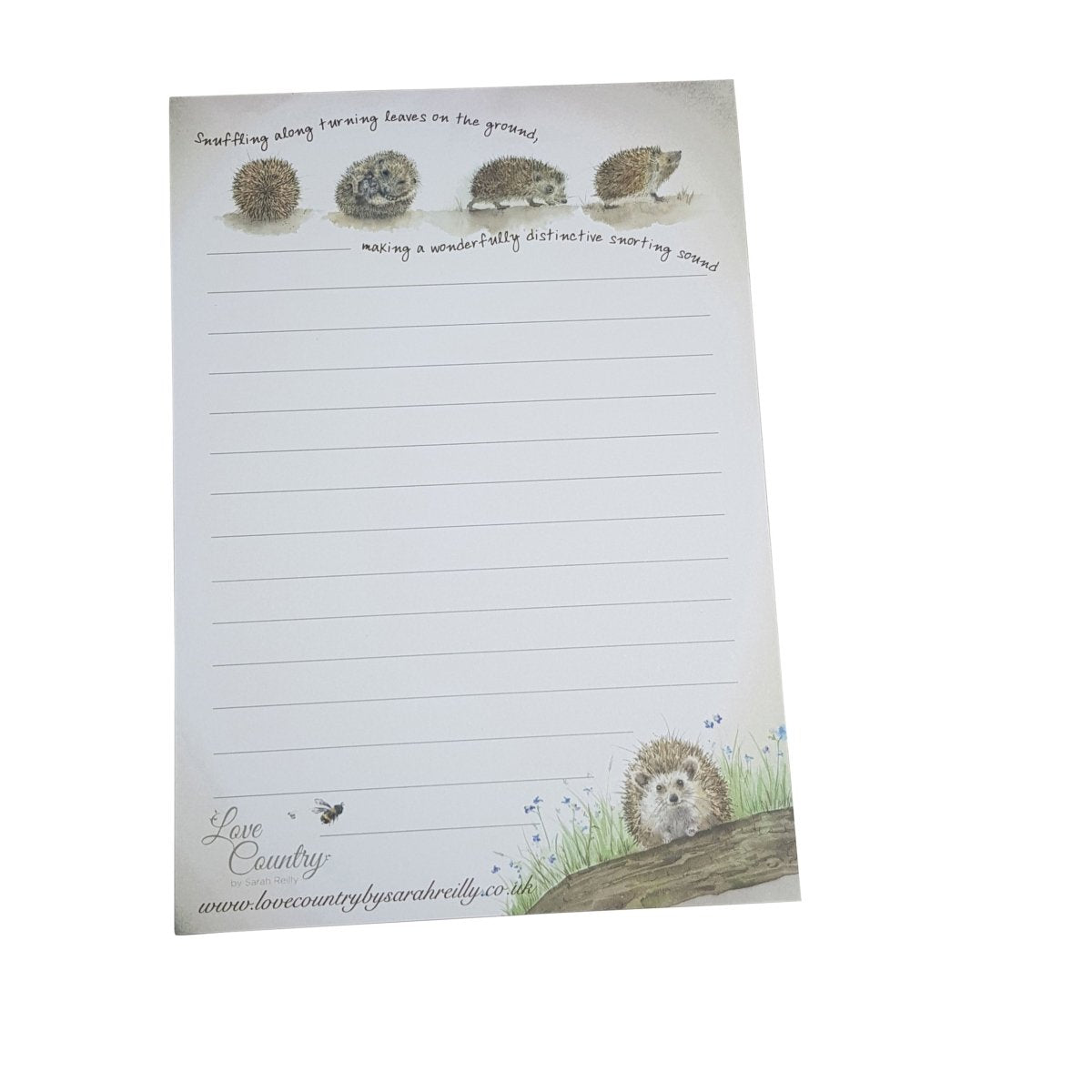 Hedgehogs Desk Jotter