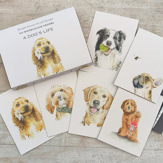 A Dog’s Life Boxed Notecard Set