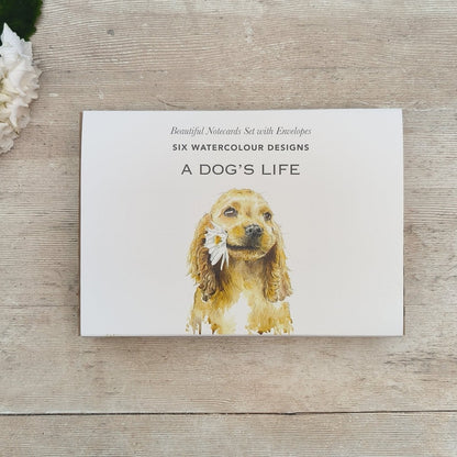 A Dog’s Life Boxed Notecard Set